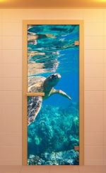 Стеклянная дверь для сауны Aldo Водный мир 1900х700