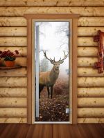 Стеклянная дверь для сауны Doorwood А080