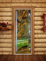 Стеклянная дверь для сауны Doorwood А089